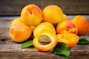 Kayısı (Lat. Prunus armeniaca)