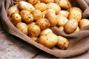 Patates